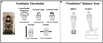 Increased roll tilt thresholds are associated with subclinical postural instability in asymptomatic adults aged 21 to 84 years